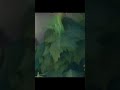 The Craziest Teamfight FLANK in LoL History!