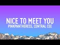 PinkPantheress - Nice to meet you (Lyrics) ft. Central Cee