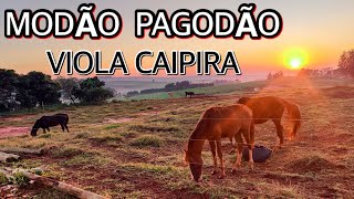 🔴 Modão de Viola Pagode e Moda Caipira - Acompanha essa viagem com lindas imagens