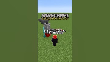 EASY INFINITE Item Duplicator (OVERPOWERED)