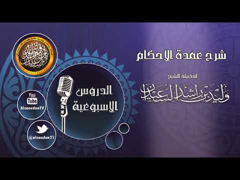 10 معلومات مغلوطة عن الكلب المسعور نسخة الجوال بوابة الشروق