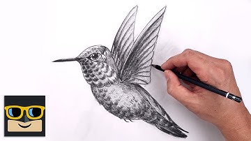 How To Draw a Hummingbird | Sketch Tutorial