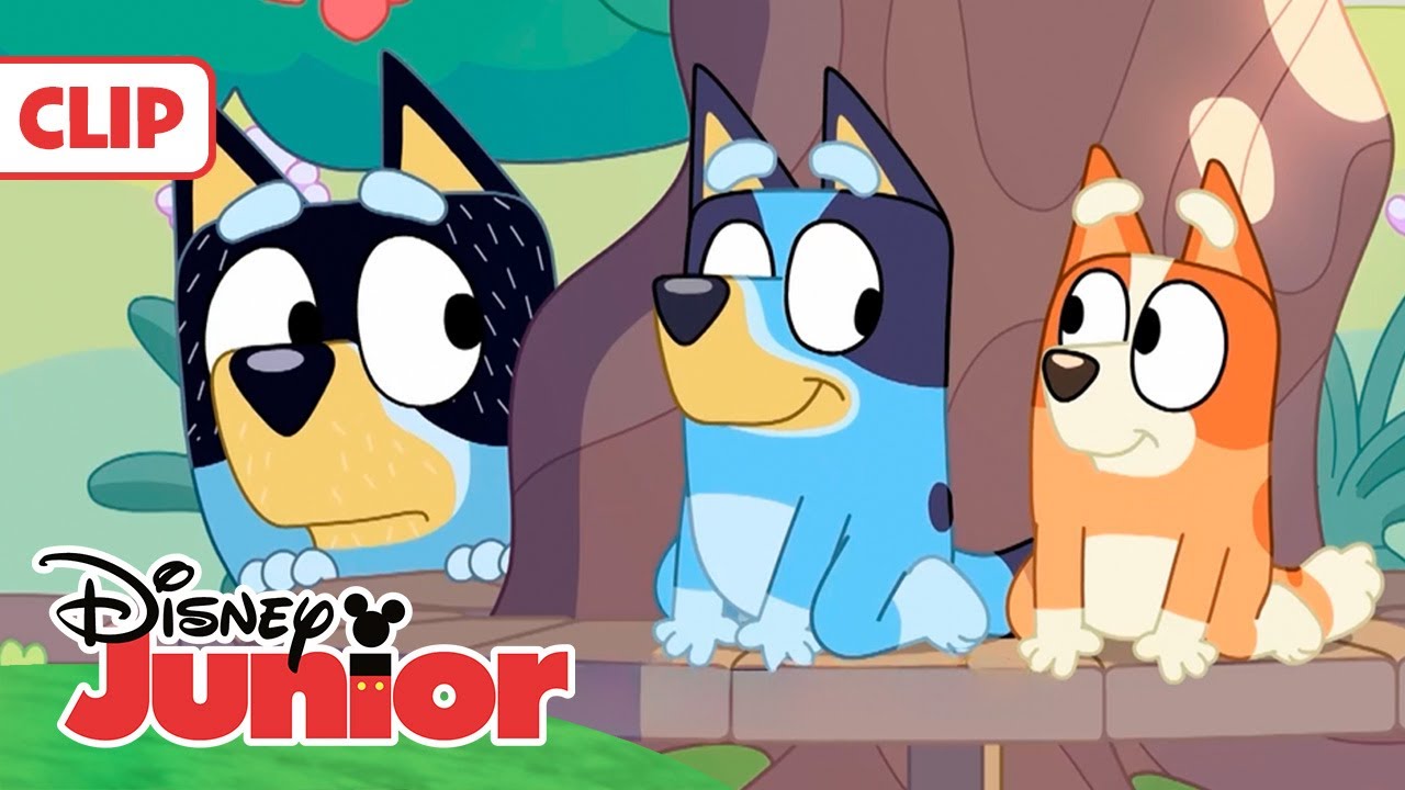 BLUEY: Nació ayer 🤭 | CONTENIDO ACCESIBLE: SUB | @DisneyJuniorES - YouTube