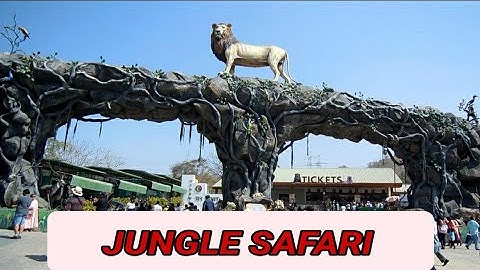 Jungle Safari | Statue Of Unity Part 1| Pet Zone | Kevadia |  Gujarat