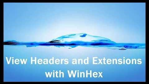 View Headers and Extensions with WinHex