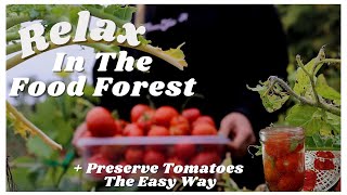 Relaxing Week In The Food Forest Garden + Preserve Tomatoes The Easy (lazy?) Way 🥑🍅🥕🥬