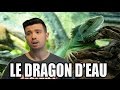 Elevage dragon d'eau + projet en cour