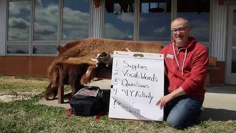 Series Introduction: Welcome to your Spring Creek Prairie Virtual Field Trip!