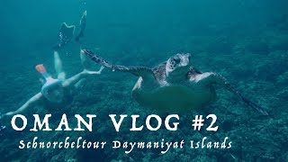 Schnorcheln Daymaniyat Islands | OMAN VLOG #2