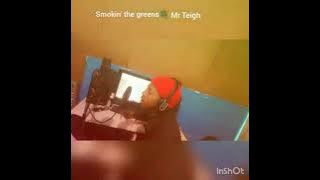 Mr Teigh-Smokin'the greens(Video)