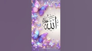 استمع الي القرآن الكريم فهو شفيع لك يوم القيامة ❤❤