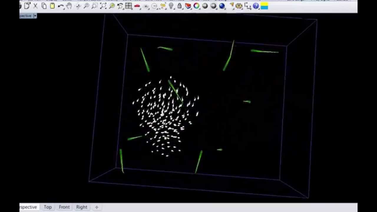 SWARM INTELLIGENCE - YouTube