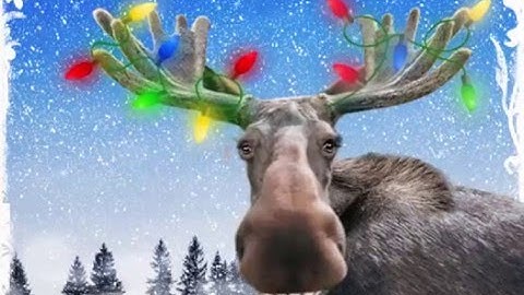 Swarmathon Holiday Workshop