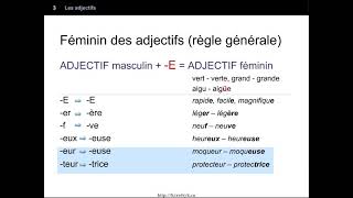 Les adjectifs – introduction - genre (féminin/masculin) – nombre (pluriel/singulier)