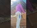 Masih dalam bentuk badan kerongkong kapal #shorts