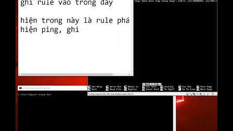 Cách sử dung snort rule