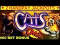 ✦2 HANDPAY JACKPOTS✦ On High Limit CATS Slot Machine $60 Bet Bonus ! Awesome Run In High Limit Room