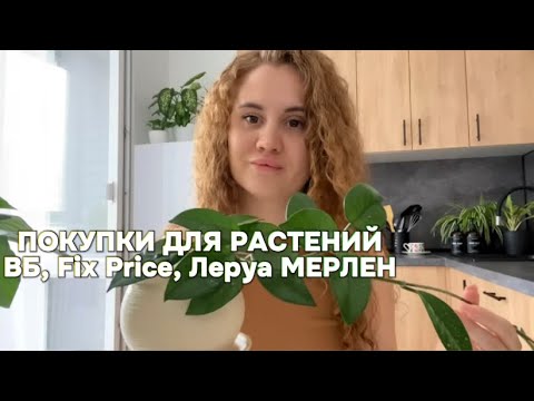 Обзор новых растений|Покупки  с Леруа Мерлен, WB, Fix Price