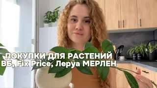 Обзор новых растений|Покупки  с Леруа Мерлен, WB, Fix Price