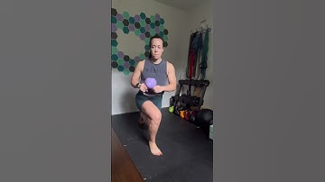 Isometric Split Squat with Rotation