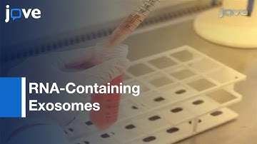 Isolation & Characterization: RNA-Containing Exosomes l Protocol Preview