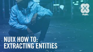 Extracted Entities