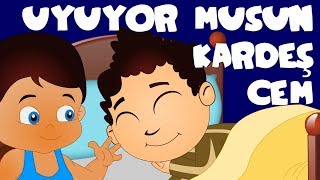 Uyuyor Musun Kardeş Cem | Türkçe Are you Sleeping in Turkish | BalonTV | Çizgi Film Bebek Şarkıları