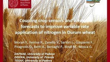 Coupling Crop Sensors & Weather Forecasts to Improve Variable Rate Application of N in Durum Wheat