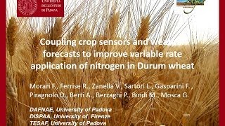 Coupling Crop Sensors & Weather Forecasts to Improve Variable Rate Application of N in Durum Wheat
