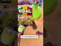 kidal
