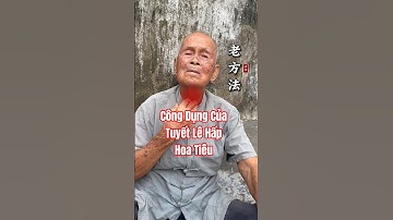 Bạn đã biết công dụng của Tuyết Lê Hấp Hoa Tiêu chưa?