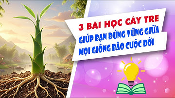 3 Bài học Cây Tre giúp bạn đứng vững giữa mọi giông bão cuộc đời