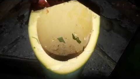 CÁ NƯỚNG ỐNG TRE/Grilled fish with bamboo tube