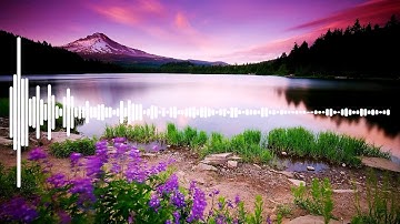 T-REX GAMER INTRO!!!!!