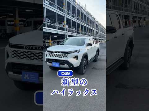 【新型ハイラックス】収納これでいいの？#shorts
