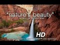 Natures beauty world of relaxation 1 hr w instrumental music 1080p