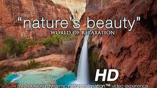 'Nature's Beauty: World of Relaxation' 1 HR Video w/ Instrumental Music 1080p HD