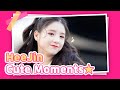 I have a big fat crush on this adorable bunny heejin cute moments