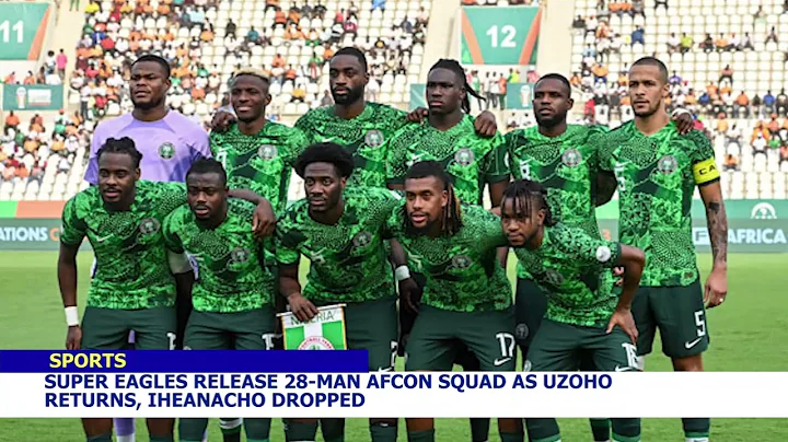 Super Eagles Release 28-Man AFCON Squad as Uzoho Returns, Iheanacho Drops