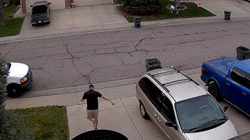 Reolink Captures: Delivery Driver with Childlike Heart