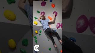 The Font Borough - Highlights