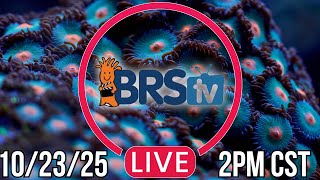 Download Lagu LIVE Q\u0026A Reef Tank Chat with Will \u0026 Kyle! 10/23 at 2PM CST! MP3 Download Lagu LIVE Q\u0026A Reef Tank Chat with Will \u0026 Kyle! 10/23 at 2PM CST! MP3