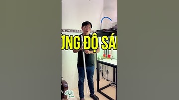 ĐÈN POM CÁ RỒNG ZAKO  #zako #dentrongcayzako #denzako