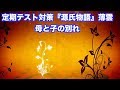 JTV定期テスト対策『源氏物語』薄雲〜母と子の別れ〜