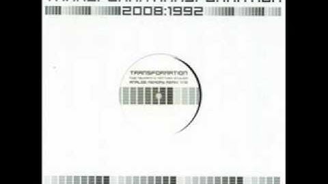 Transform - Transformation (Tobi Neumann Matthew Styles mix)