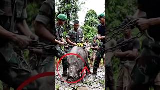 Download Lagu Kutukan seorang anak yang durhaka‼️😱#shorts #shortvideo #viralvideo MP3