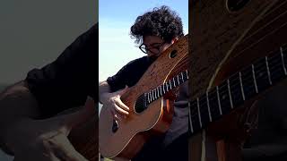 Minecraft on Harp Guitar