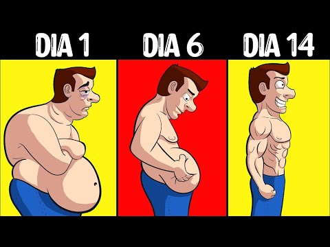 O QUE ACONTECE