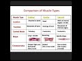 muscle contraction #muscle #physical #education #sports