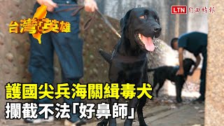 台灣英雄》護國尖兵海關緝毒犬　攔截不法「好鼻師」